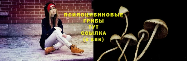 a pvp Балахна