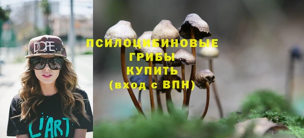 a pvp Баксан