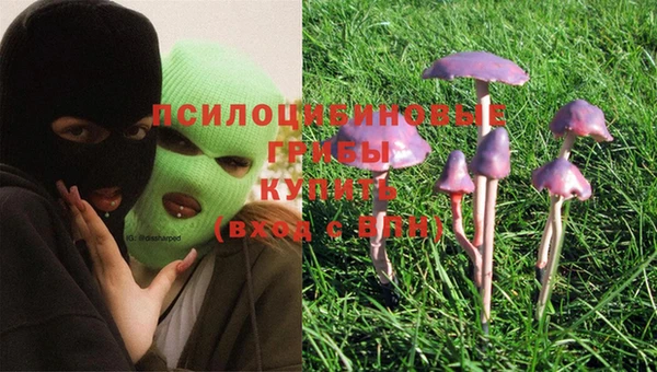 a pvp Баксан