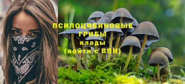 a pvp Балахна