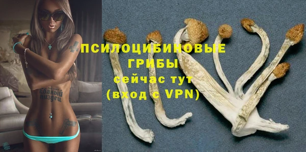a pvp Баксан