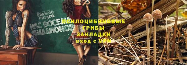 a pvp Баксан